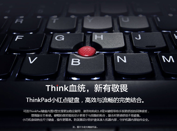 联想ThinkPadT495