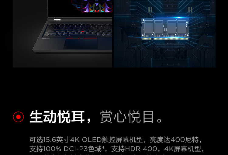 联想ThinkPad T15g商务笔记本