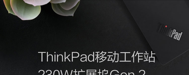 ThinkPad移动工作站230W扩展坞Gen 2 (40ANY230CN)